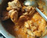 Madrasi Curry recipe step 5 photo
