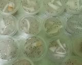 Foto langkah ke 2 dari resep Agar² Kelapa.