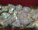 Foto del paso 4 de la receta: Riñones del abuelo