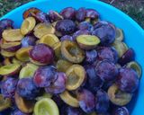 Pas rețetă Gem de prune 2 fotografie