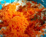Foto langkah ke 5 dari resep Rollade Tahu Ceria ala Chef Muhammad.