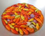 Foto langkah ke 2 dari resep Sambal Bawang.