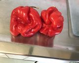 Une image de l'étape 3 de Trio de piments, tomates cerises, ail et herbes aromatiques au vinaigre.