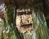 A picture of step 6 of Banana flower paturi.
