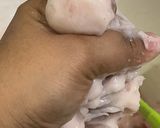 Foto langkah ke 3 dari resep Baso Ikan Ekor Kuning Singapura Enak, Kenyal & Gurih.