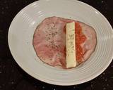 Ham / Pepperoni and Cheese Stick Melts recipe step 5 photo