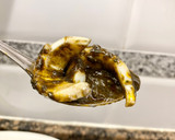 Foto del paso 9 de la receta: Calamares en su tinta