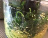A picture of step 4 of Dhaba Style Palak Paneer (spinach with Indian cottage cheese).