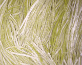 Foto del paso 2 de la receta: Tallarines verdes