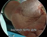 બાજરી નો રોટલો (Bajri Rotlo Recipe in Gujarati) રેસીપી સ્ટેપ2ફોટો