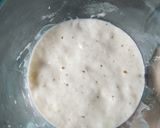Foto langkah ke 18 dari resep Ragi Alami/ Natural Yeast/ Sourdough Starter.