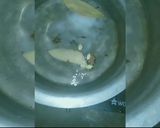 A picture of step 5 of Chicken Tikka Biryani.