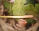 Soto Ayam Bening langkah memasak 3 foto