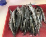 Foto del paso 2 de la receta: Pescaditos Pajaritos al estilo Sonorense