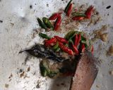 Foto langkah ke 2 dari resep Tumis Usus Ayam.
