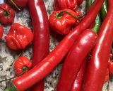 Une image de l'étape 3 de 🥗Salade estivale 🍅tomates cerises 🍒 basilic 🌿.