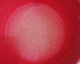 Foto del paso 2 de la receta: Panna cotta de coco rellena de coulis de piña 🥥🍍