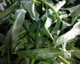 Foto langkah ke 1 dari resep Rujak Kangkung Khas Cirebon.