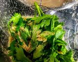 Foto del paso 4 de la receta: JUGO (zumo) de 🍅Tomate y Guasca...!🌿