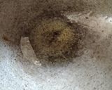 পোস্ত সরষে পটলের তেল ঝাল(Potoler tel jhal recipe in Bengali) রেসিপির ধাপ 1 ছবি