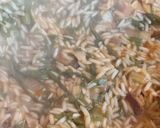 Foto del paso 2 de la receta: Improvisado vegano de arroz y seitán