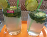A picture of step 1 of Mojito - Mocktail with Lemon Cucumber and Mint.