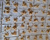 A picture of step 5 of Economical Baklava Tray from Start to Finish.