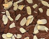 Foto langkah ke 6 dari resep Fudgy Brownies.