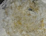 Foto del paso 3 de la receta: Alfajorcitos de maicena