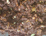 Foto del paso 2 de la receta: Salchichón de chocolate