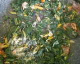 Foto langkah ke 4 dari resep Tumis Daun Pepaya Teri.
