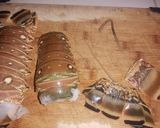 Foto del paso 3 de la receta: Langostas al horno