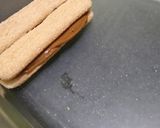 Foto del paso 1 de la receta: Flainilla