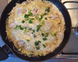 Foto langkah ke 12 dari resep Oyakodon (Nasi Ayam & Telur ala Jepang).