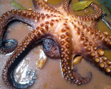 Foto del paso 3 de la receta: Pulpo a la Murciana