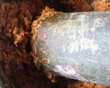 รูปขั้นตอนการทำที่ 1 ของ แพนงหมู พร้อมสูตรเครื่องแกง