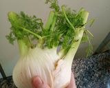 Foto del paso 1 de la receta: Hinojos al horno