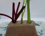 Foto del paso 4 de la receta: Mini huerta de paté hígado de pollos