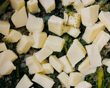 Foto del paso 3 de la receta: CANELONES CON MASA DE 🫔PANQUEQUES🫔RELLENOS DE 🥬ACELGA🥬
