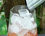 Cara Membuat Strawberry Mojito 4