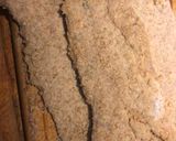 Foto del paso 2 de la receta: Milanesa de merluza