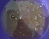 Foto del paso 1 de la receta: Jelly cake