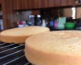 Foto langkah ke 8 dari resep Sponge Cake Dasar (tanpa SP/Ovalet).