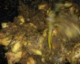 Foto langkah ke 4 dari resep Ayam Serundeng Kelapa.