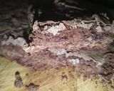 Foto del paso 8 de la receta: Brownie de chocolate