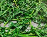 A picture of step 2 of Frittata with Silene (Stridoli).