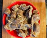 Foto langkah ke 2 dari resep Tumis Ampela Cabai Hijau.