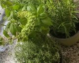 Une image de l'étape 1 de 🪹🍃Tapenade olive 🫒 noire herbes 🌿 de Provence🌶️🪻piment oiseau🌶️.
