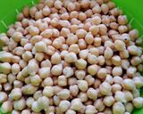 Foto del paso 1 de la receta Garbanzos con mejillones