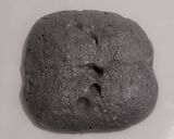 Foto langkah ke 11 dari resep Charcoal Jinten Hitam Italian Herbs Cheese Sourdough Bread.